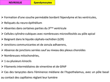 UE13 - Tissu nerveux