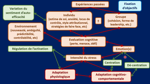 UE 32 CM 10 Psychologie du Sport Rosnet