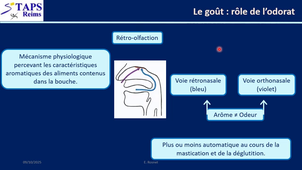 L3 ESPM EC 531 - Bonus sur les modalités sensorielles : sens  cutanés et somesthésiques - gout - odorat
