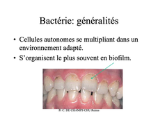 Bactériologie Odontologie P2 Monde microbien