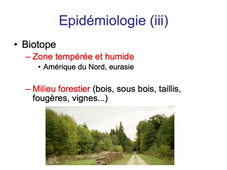 DFGSM3 - MED0501 - Maladie de Lyme - Bactériologie / Epidémiologie