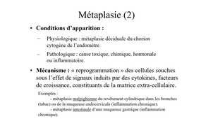 UE MED0302 - Lésions élementaires - Séq 1