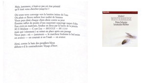 Une partition lyrique éclatée. L'opéra des mots de Franck Venaille