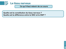 UE13 - Cours n°5 - Le tissu nerveux - partie 4