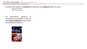 LAS - Module 9 - Séq 1