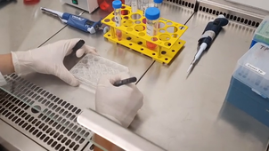 Travaux Pratiques BIO0503