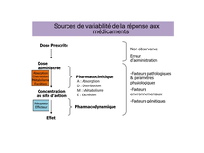 UE6 - CM3+5 - Dr. Djerada - Pharmacodynamie (5/6)