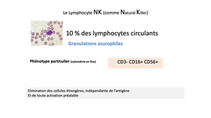 L.AS 3 - UE 64 - Hématologie - Les lymphocytes et les monocytes