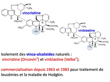 UE9EC6 - CM4 - Pr Lavaud - 1/3