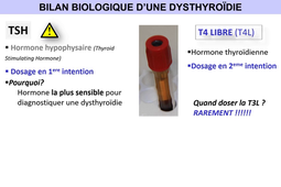 2.2 fonction thyroidienne