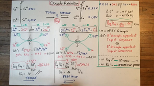 OxydoReductionCalculerKeq