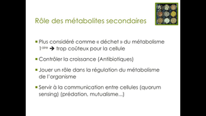 CM Streptomyces partie 7