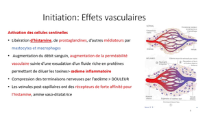 DFGSM2 - MED0306 - Réaction inflammatoire - Initiation