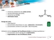 Les molécules constitutives du vivant et leurs fonctions 1 sur 3
