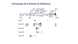 DFGSM2 - MEDLIB0403 - Maladie de Willebrand - Diagnostic de la maladie de Willebrand