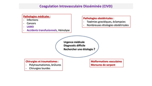 DFGSM2 / DFGSMa2 - MED0304 - Physiopathologie de la thrombose et de la coagulation intravasculaire disséminée - CIVD