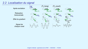 DFGSM2 - MED0302 - Imagerie Médicale - Localisation du signal