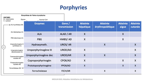 DFGSM3 - MEDLIB0503 - Anomalies du métabolisme des métaux, porphyries, déficit de la synthèse de créatine