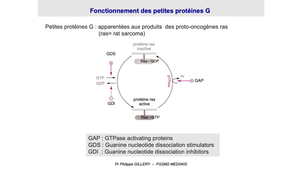 DFGSM2 - MED0402 - Récepteurs, ligands et hormones - Principaux systèmes de transduction des récepteurs membranaires