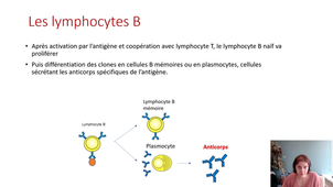2.10 S1 Infectiologie Hygiène IMMUNO PARTIE 2