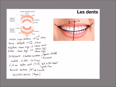 UE 24 - EC1  Mandibule et muscles masticateurs - P4