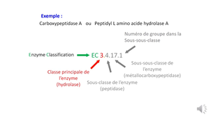 LAS - biochimie