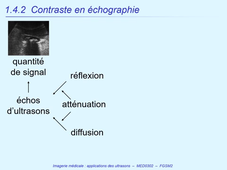 DFGSM2 - MED0302 - Imagerie Médicale - Imagerie échographique