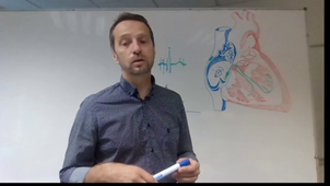 Intoduction Cardiologie