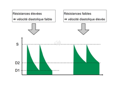 UE9-EC8 - Pr. Gabriel - Circulation foetale
