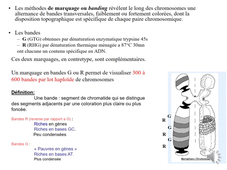 PASS / L.AS - UE 21 - EC 3 : Génétique et biologie de la reproduction - Généralités sur les chromosomes