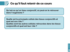 L.AS UE13 - CM3 - Les tissus conjonctifs 4