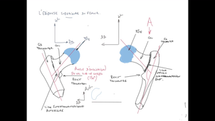 UE24 EC2_Os iliaque - Sacrum - Fémur - P7