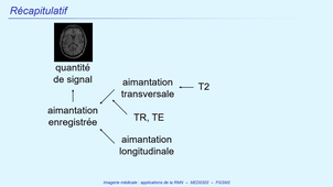 DFGSM2 - MED0302 - Imagerie Médicale - Contraste en IRM