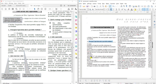 PASS - Semestre 1 - UE 15 - Informatique et numérique - TD1 - Exercice 6 : correction (partie 2)