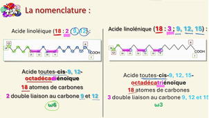 Nomenclature des AG