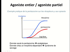 3-relation exposition effet-2