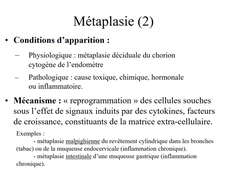 DFGSM2 - MED0302 - Notions fondamentales de pathologie - Lésions élémentaires des cellules, tissus et organes : aspects anatomo-pathologiques