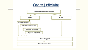 Les sources du droit et l'organisation de la justice - 2020