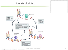 UE9EC3 - CM - JB Oudart - partie 3