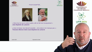 Embranchement des Vertébrés - De grandes capacités d'adaptation