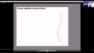 Anatomie-grele-colon