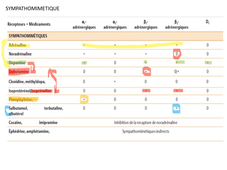 L.AS 3ème année - UE 64 - Pharmacologie - Le système nerveux autonome (Partie 1)