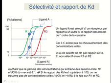 4-sélectivité-1