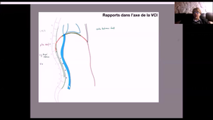 Anatomie - duodenum-pancreas