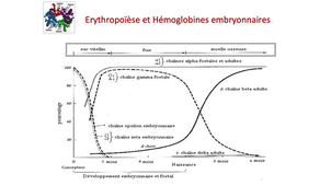 L.AS 3 - UE 64 - Hématologie - Hémoglobine