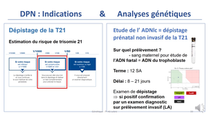 seq4_partie 1-SF_ASLebre_2025
