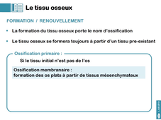 L.AS UE13 - CM3 - Les tissus conjonctifs 3/3