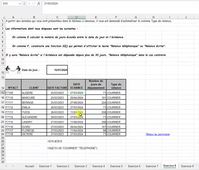Fonctions Si - Exercice 8