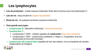 Les cellules sanguines et leurs fonctions