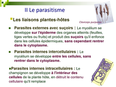 Saprophytismes et parasitismes